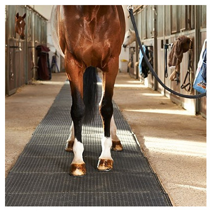 Tapis de protection mural en caoutchouc pour écurie et box chevaux