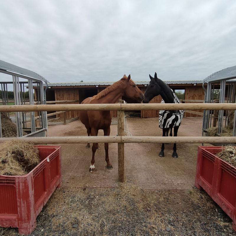 Haras du lieu blanc