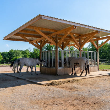 FERME DES ACACIAS - SCHAFFHOUSE PRES SELTZ