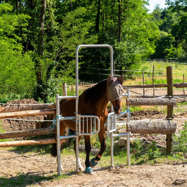 FERME DES ACACIAS - SCHAFFHOUSE PRES SELTZ