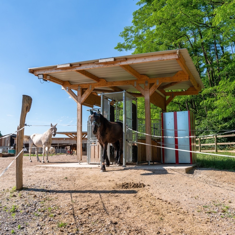 FERME DES ACACIAS - SCHAFFHOUSE PRES SELTZ