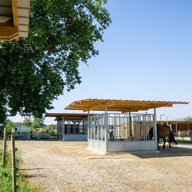 ÉCURIE ACTIVE DES PLATANES -
ESTRÉES-SAINT-DENIS (60)