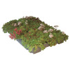 ECOSEDUM PACK