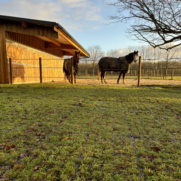 Paddock particulier