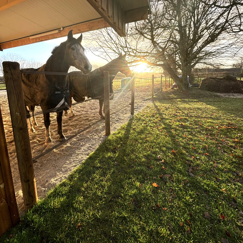 Paddock particulier