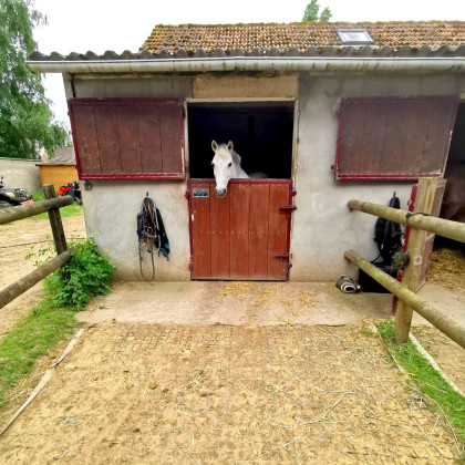 boxe terrasse aux écuries de l'aumone en eure et loir
