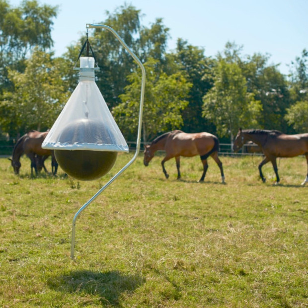 Boule anti-taons pour chevaux