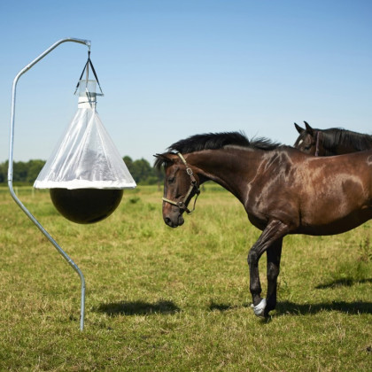 Boule anti-taons pour chevaux