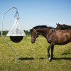 Boule anti-taons pour chevaux