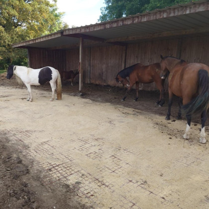 ABRI STABILISÉ PERISSAC (33)