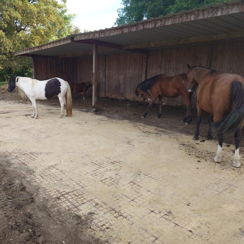 ABRI STABILISÉ PERISSAC (33)