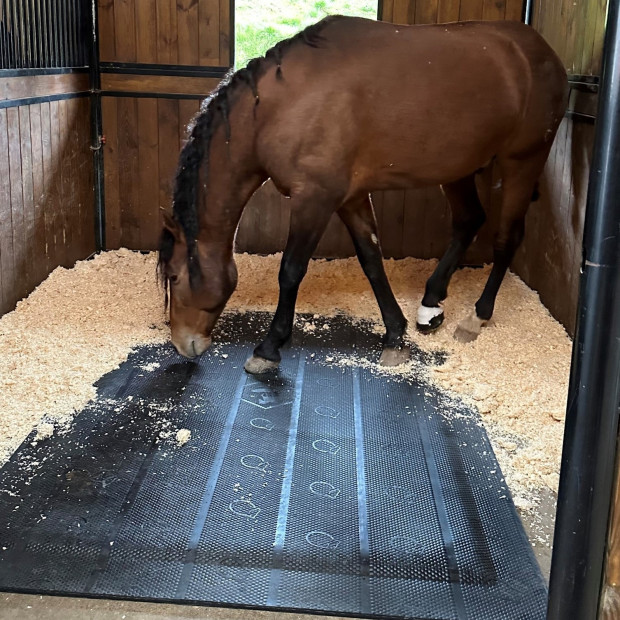 Matelas de box ECOSLEEP