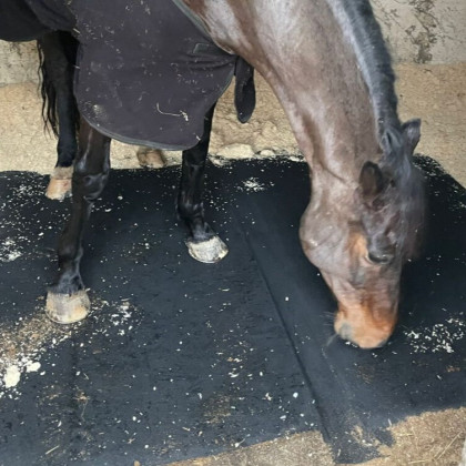 Matelas transportable ECONOMADE