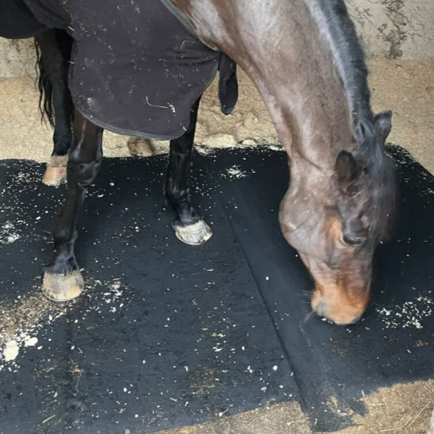 Matelas transportable ECONOMADE