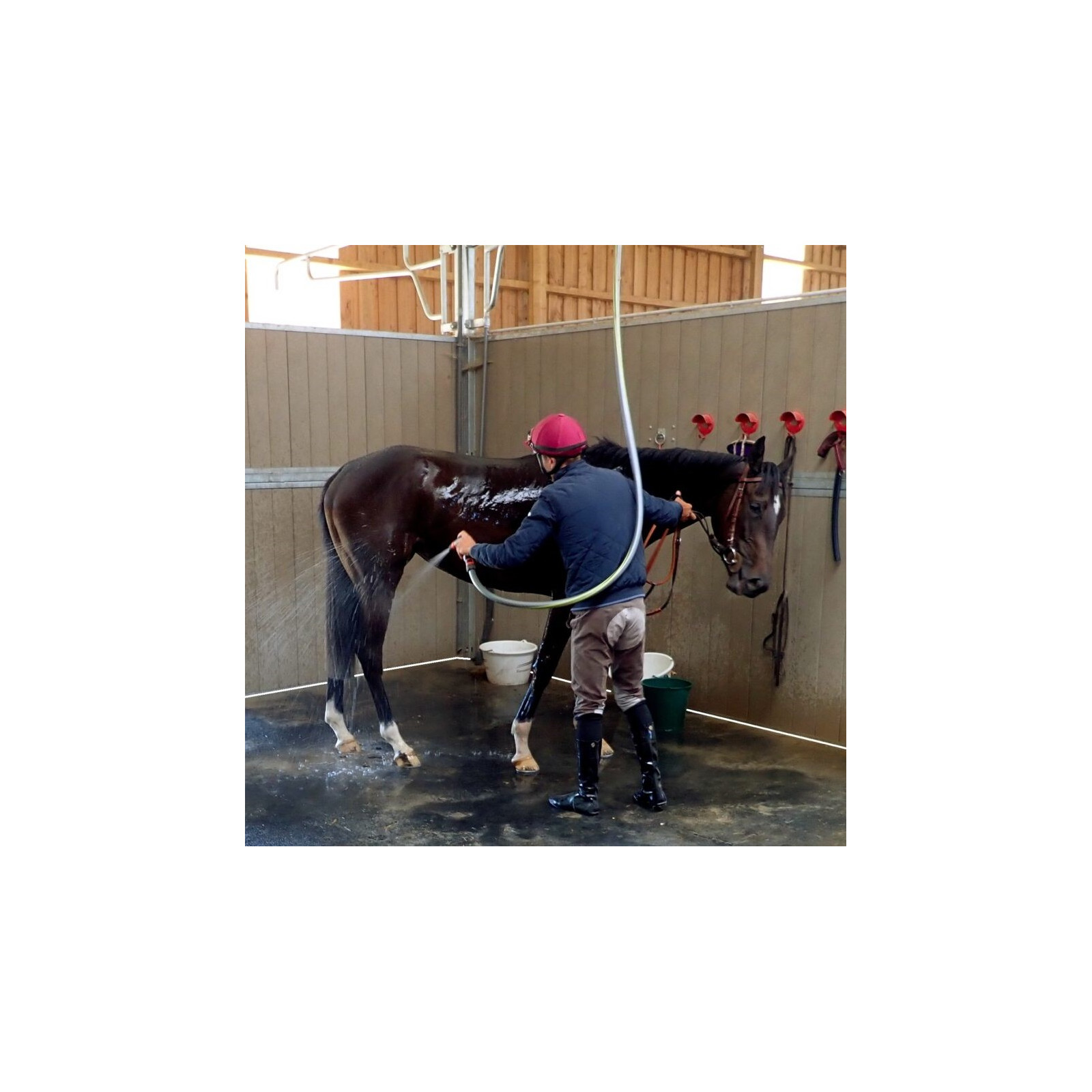 Plaque de box Cheval Bois - Classequine