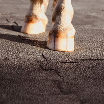 Plaque caoutchouc ECOCLASSIC