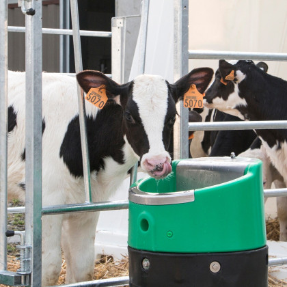 Abreuvoir individuel