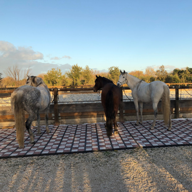 DALLE ECORASTER BLOXX TERRACOTTA