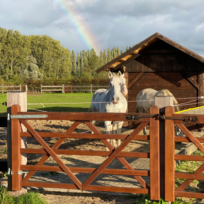 Barrière droite pin marron