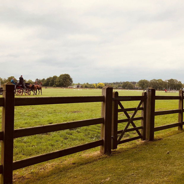 Portillon droit pin marron