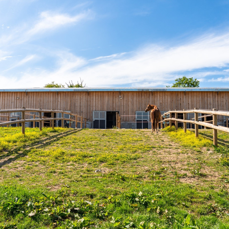Terrasses de boxes à CHARENCEY