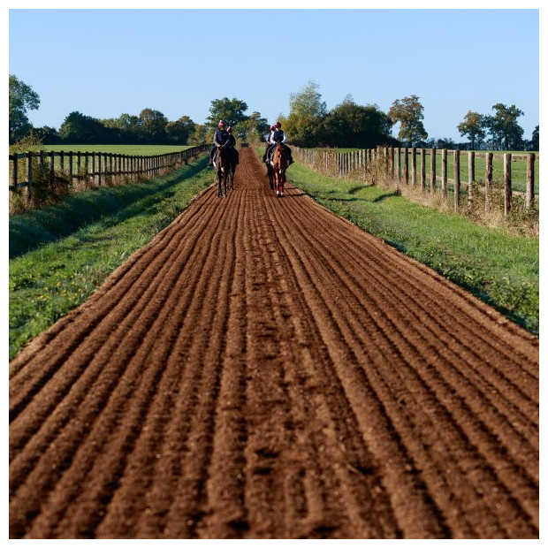 Copeaux de bois pour sol équestre - ECOWOOD GROUND