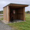 Abris en bois pour chevaux avec toit rouge