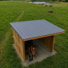 Abri en bois pour chevaux avec toit gris