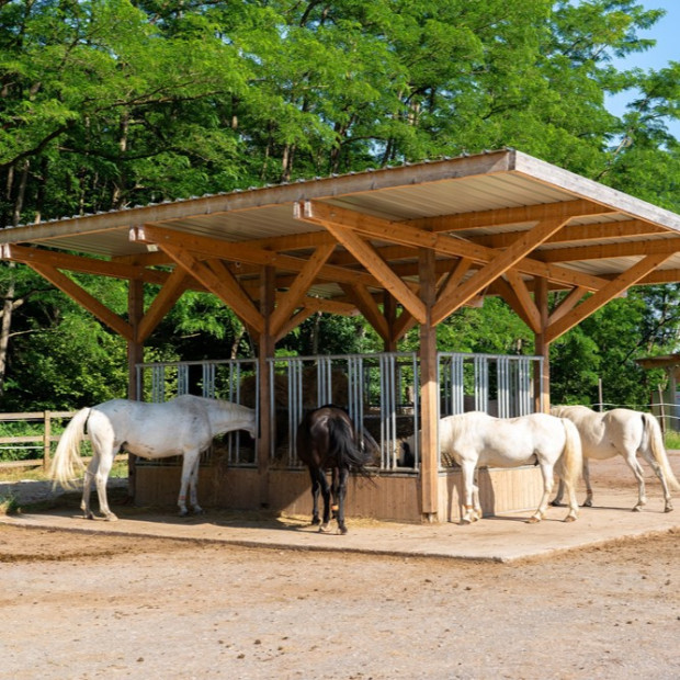 Râtelier foin pour chevaux