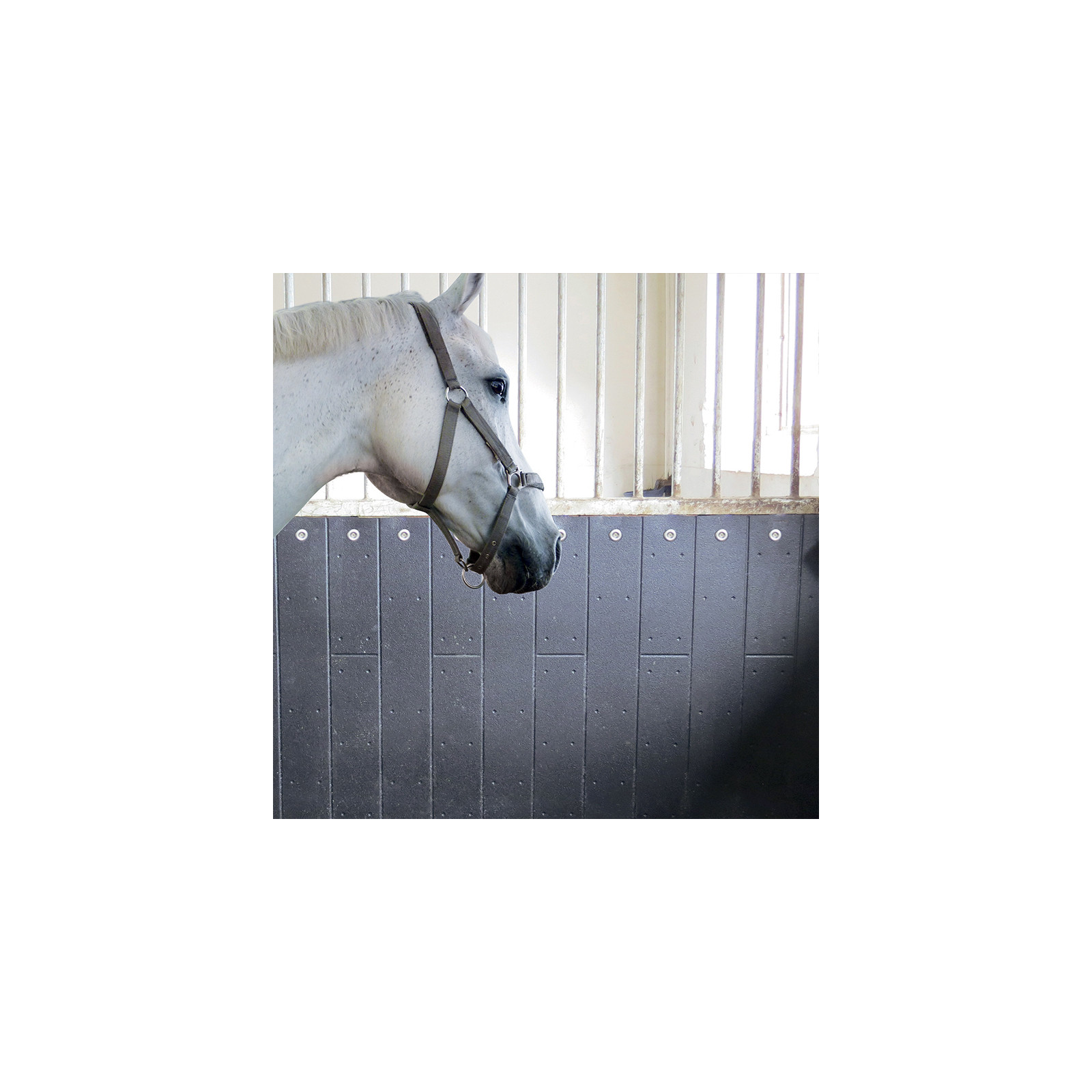 Tapis de protection mural pour chevaux (2 réf.)