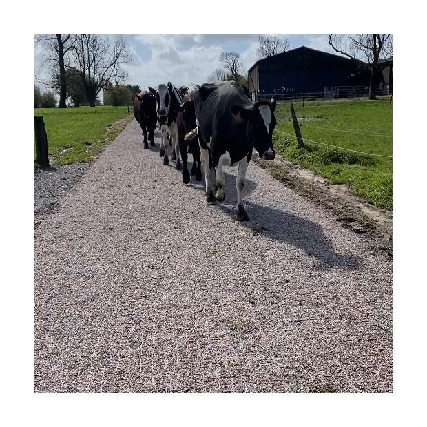 Dalle pour paddock ECORASTER TP40
