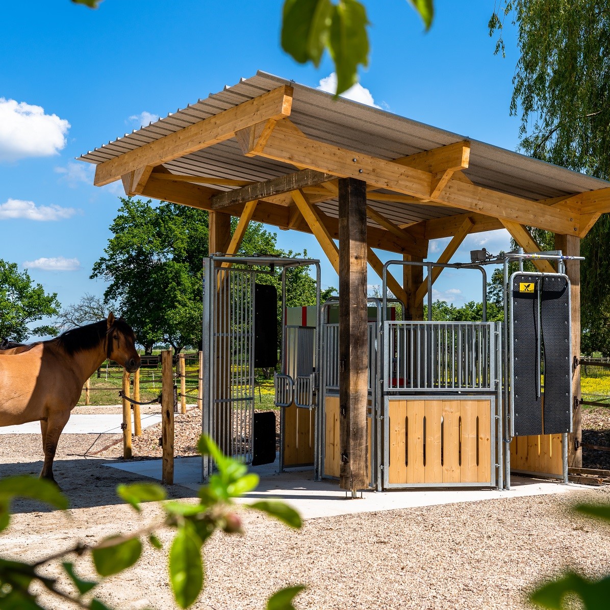 Ecurie Active Alpha Pelipa - BUREY (27)