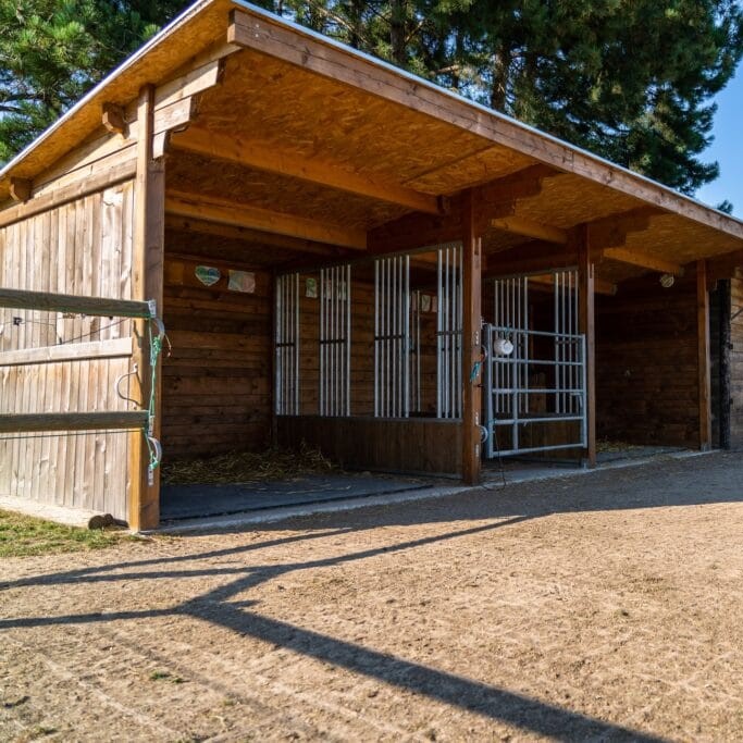 Espace fortement sollicité par les chevaux