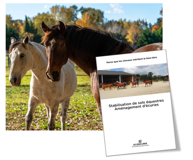 Plaquette de présentation