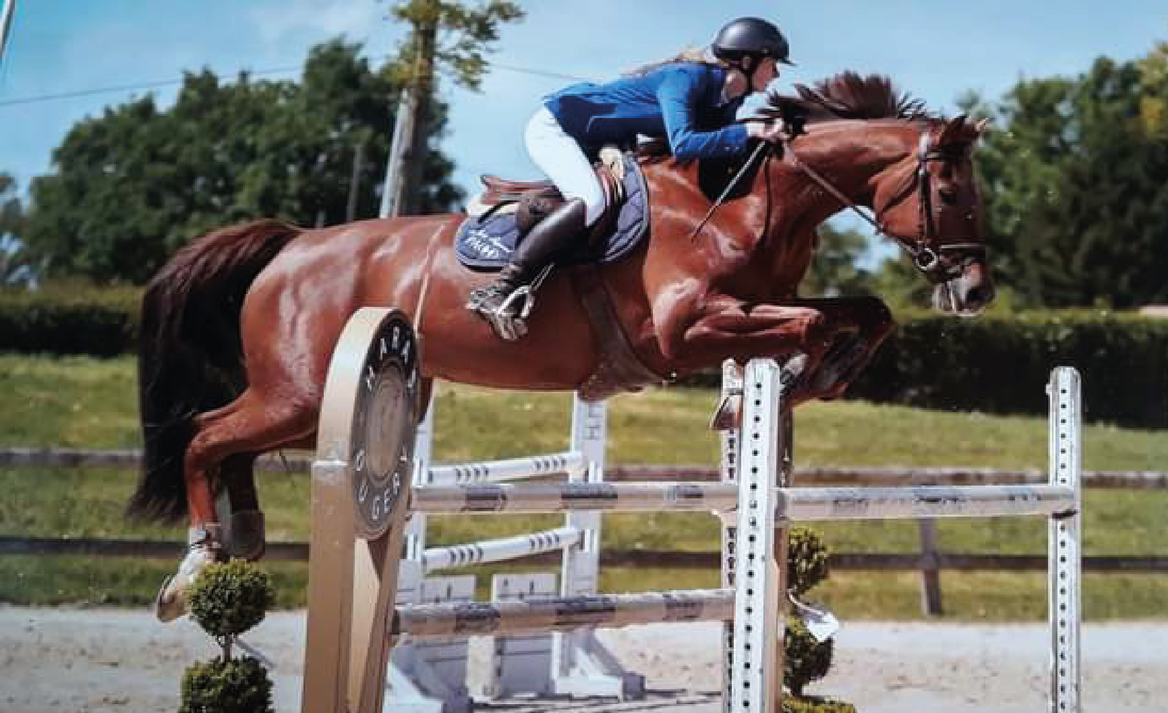 Domitille De Saint Seine