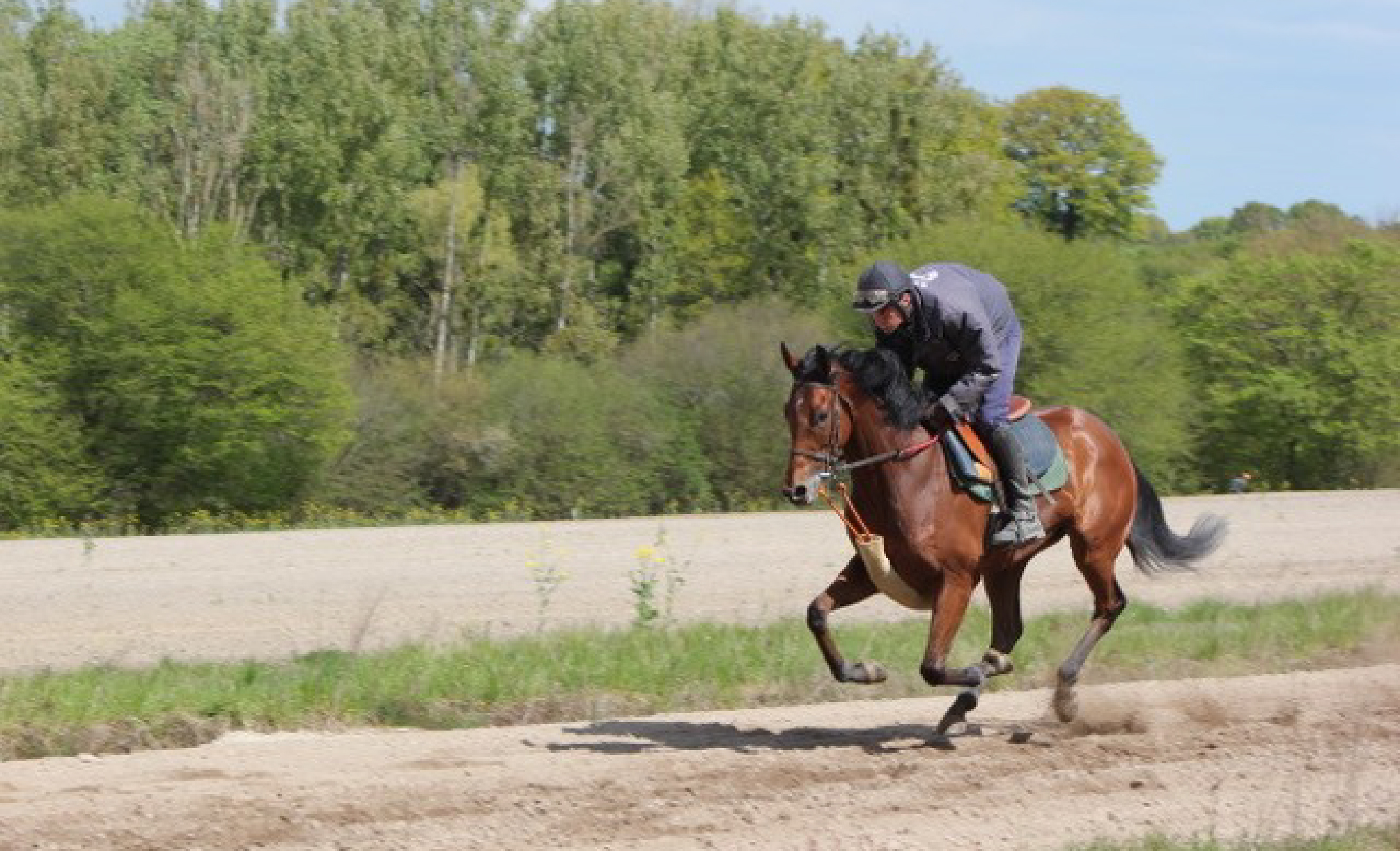 François-Xavier Lelièvre 