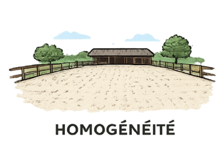 Homogénéité