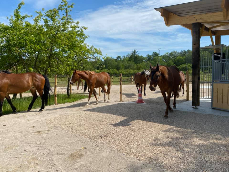 Pistes pour les chevaux