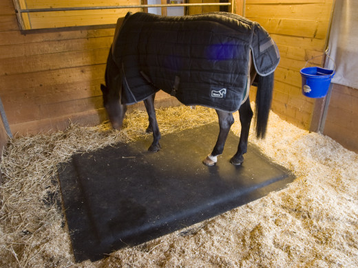 Tapis d'écurie en caoutchouc pour élevage des animaux – Tapis pour chevaux,  paddock, protège les articulations, résistant aux intempéries et facile à  nettoyer – Tapis de protection en caoutchouc : : Animalerie