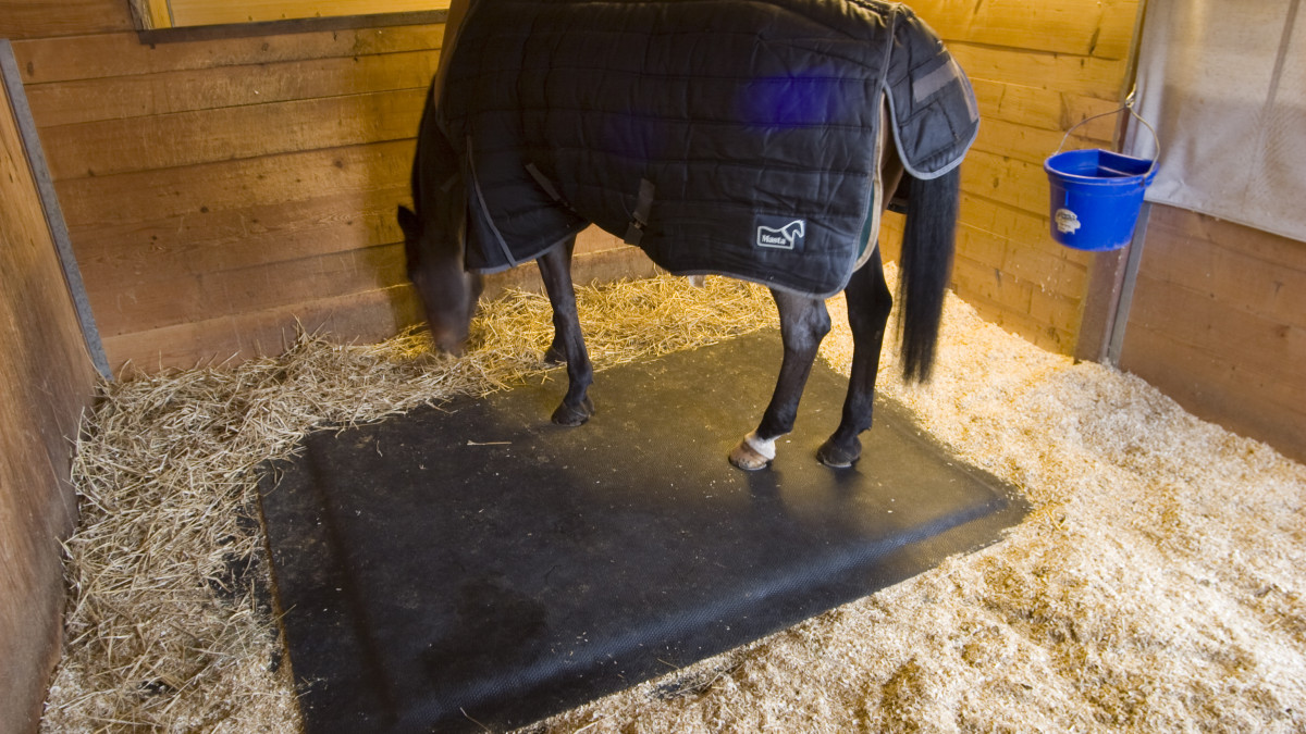 Choisir le matelas pour agrémenter la litière de votre cheval