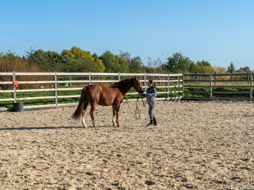 Carrière pour chevaux : EV2, Perméabilité K et SiO2 — Le guide de l'ingénierie durable