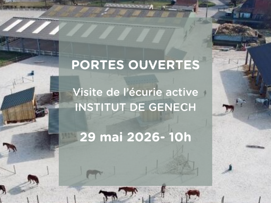 Journée Portes Ouvertes à l’Institut de Genech : découvrez le concept d’écurie active