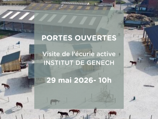 Journée Portes Ouvertes à l’Institut de Genech : découvrez le concept d’écurie active