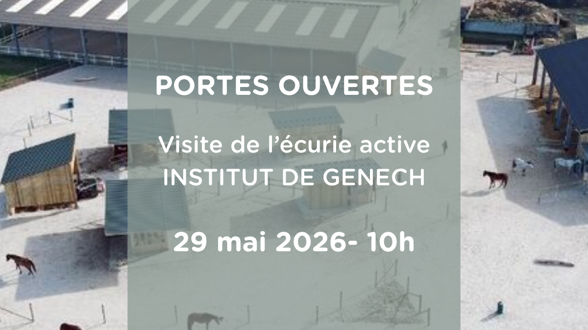 Journée Portes Ouvertes à l’Institut de Genech : découvrez le concept d’écurie active