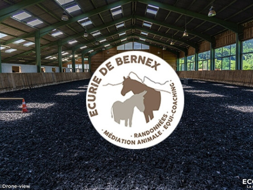 Stabilisation du sol de l'écurie de Bernex (74)