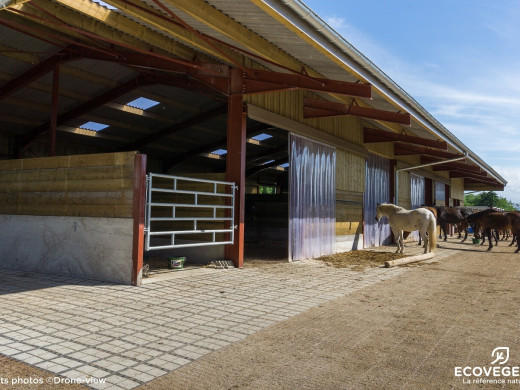 Pavé béton drainant pour les sols équestres