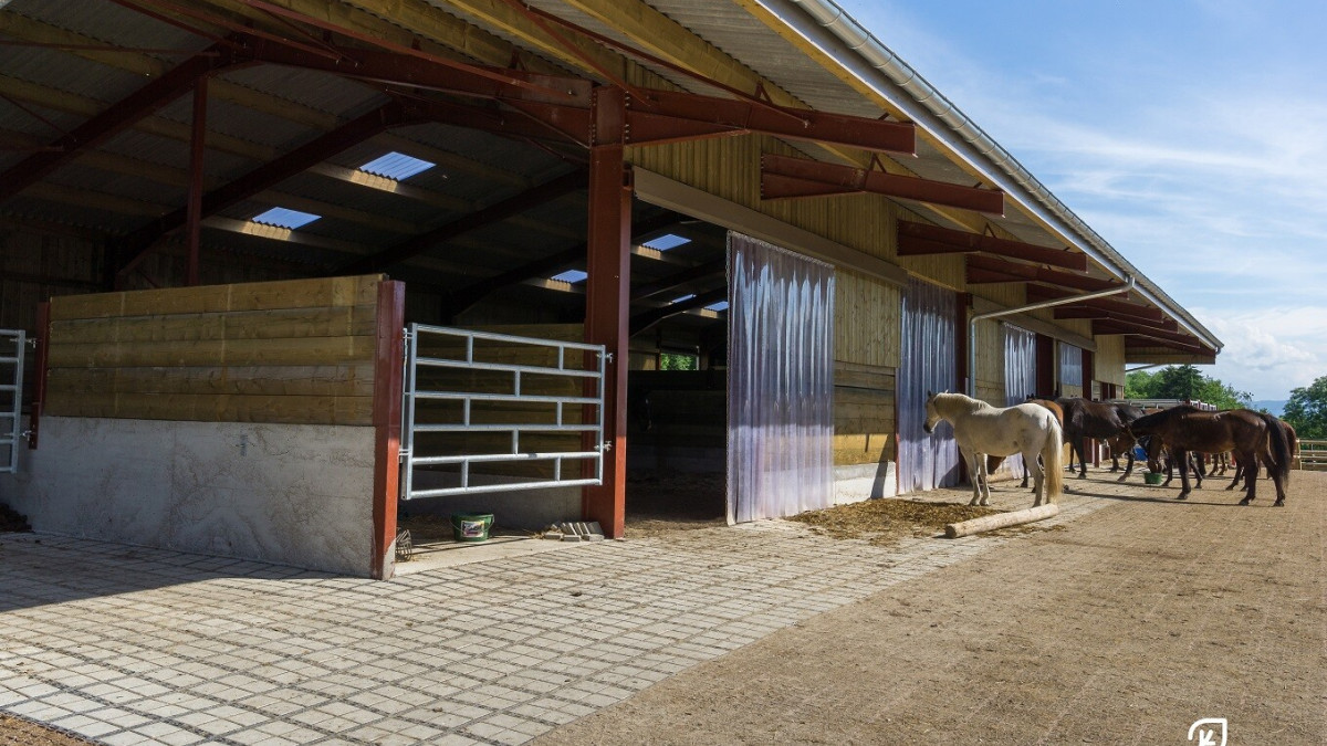 Pavé béton drainant pour les sols équestres