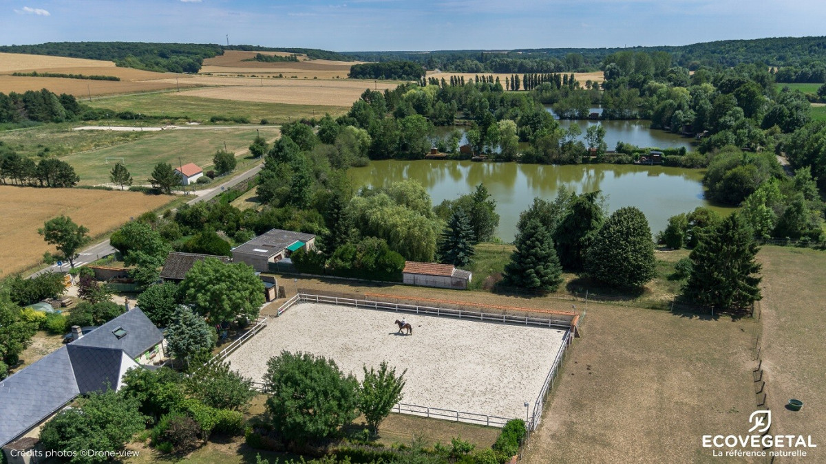 Carrière équestre : 4 erreurs à éviter lors de sa construction