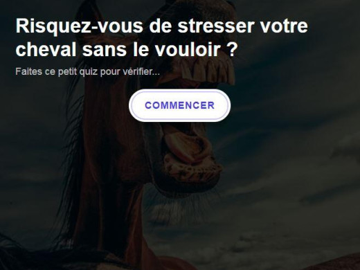 Quiz : risquez-vous de stresser votre cheval sans le vouloir ?