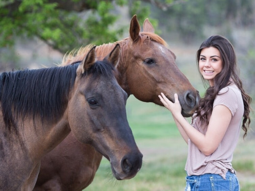 Comprendre son cheval : faites-vous trop d’anthropomorphisme ? Faites ce quiz.